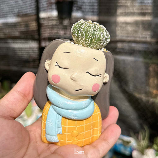 Astrophytum Asteria cv. Superkabuto in Sunshine Girl Planter