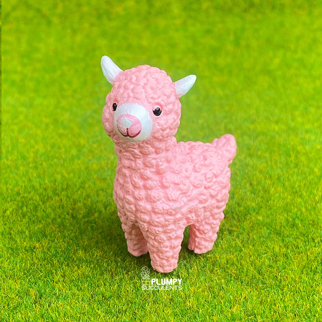 Lama