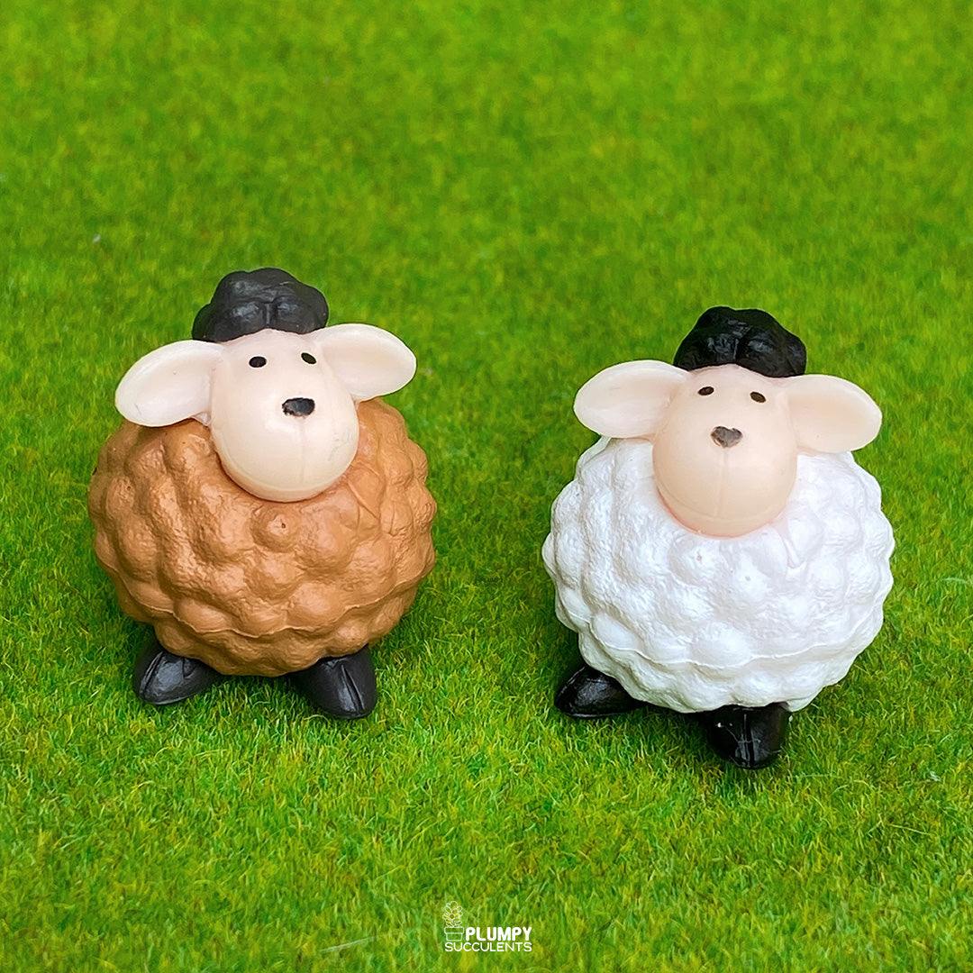 Sheep