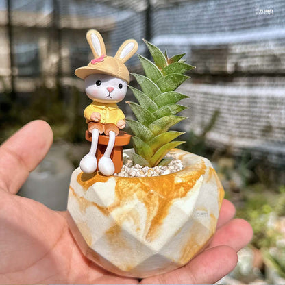 Haworthia Viscosa - Rabbit's Buddy