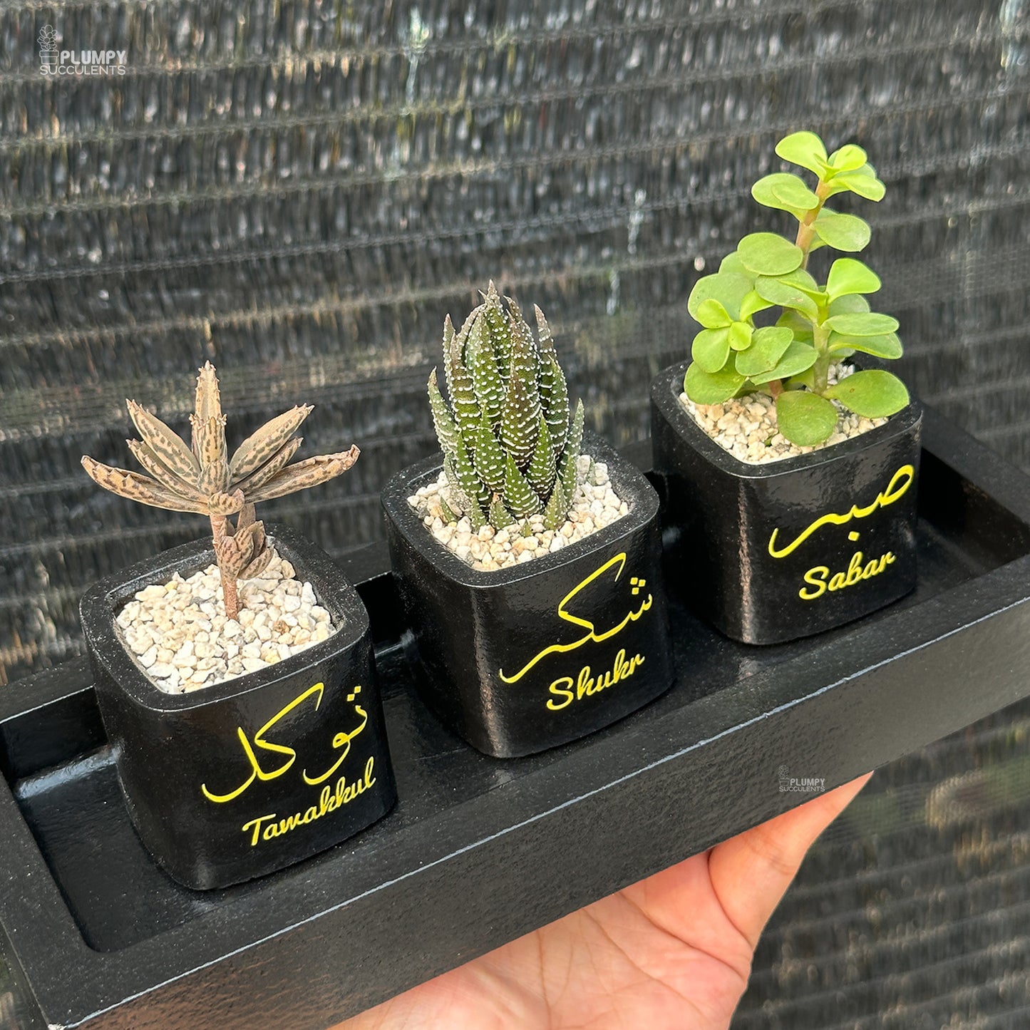 Sabr, Shukr, Tawakkul Set