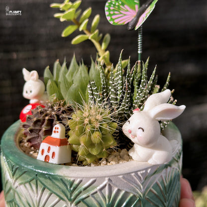 Succulent Garden (Rabbit's Heaven)