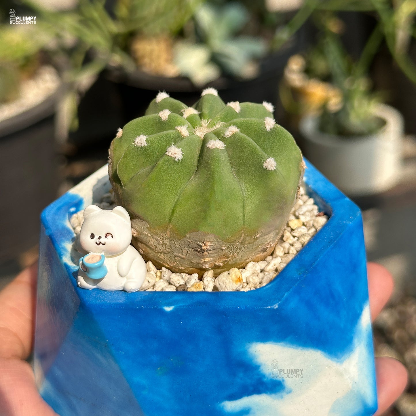 Small green cactus in a blue pot with a white cat figurine sipping tea, surrounded by other plants.