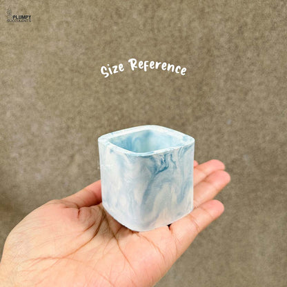Square Planter  (2 Inch)