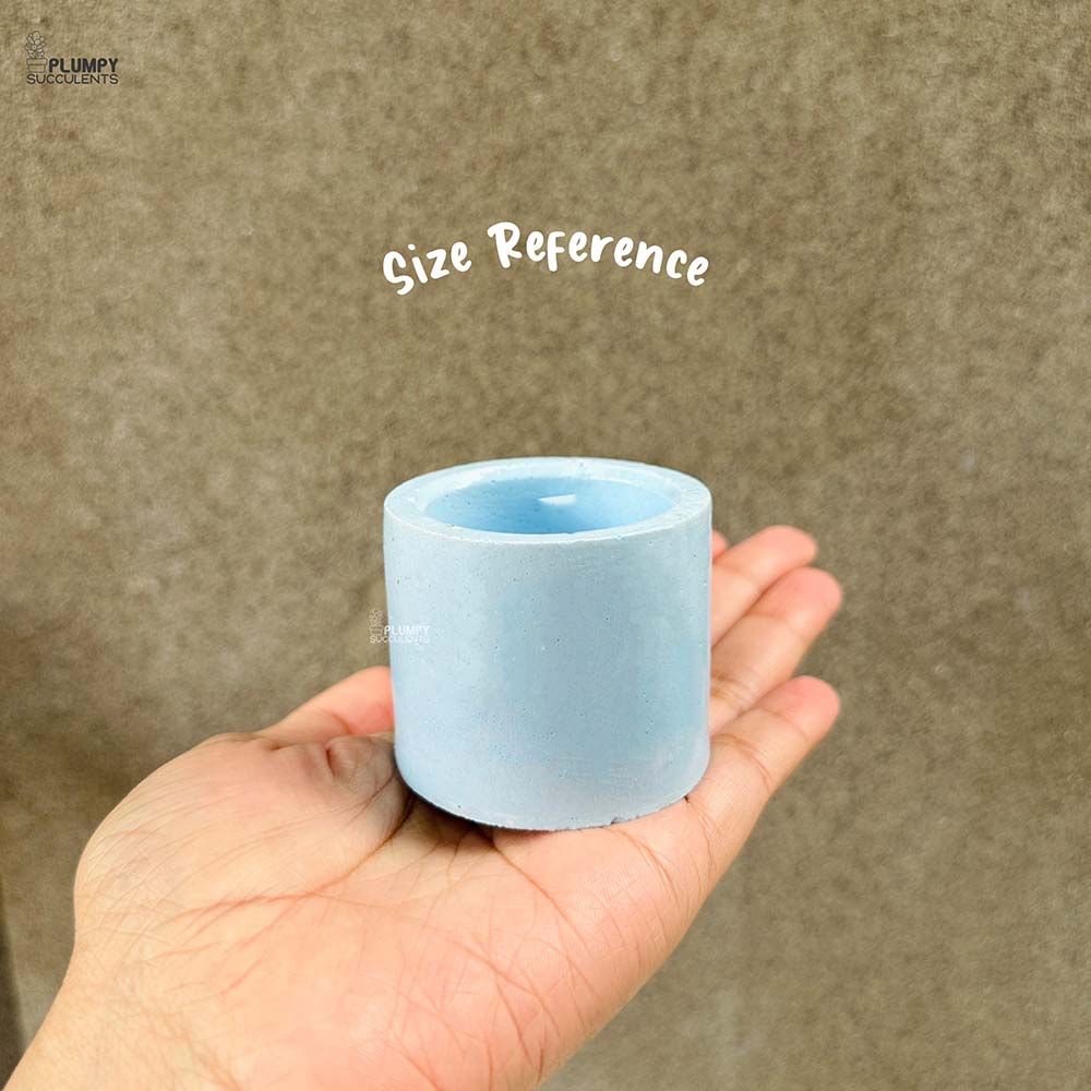 Round Planter (2 Inch)