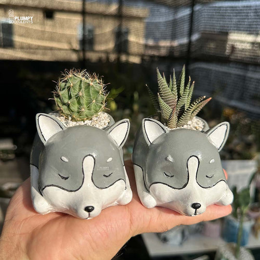 Dog Planters (Set of 2)