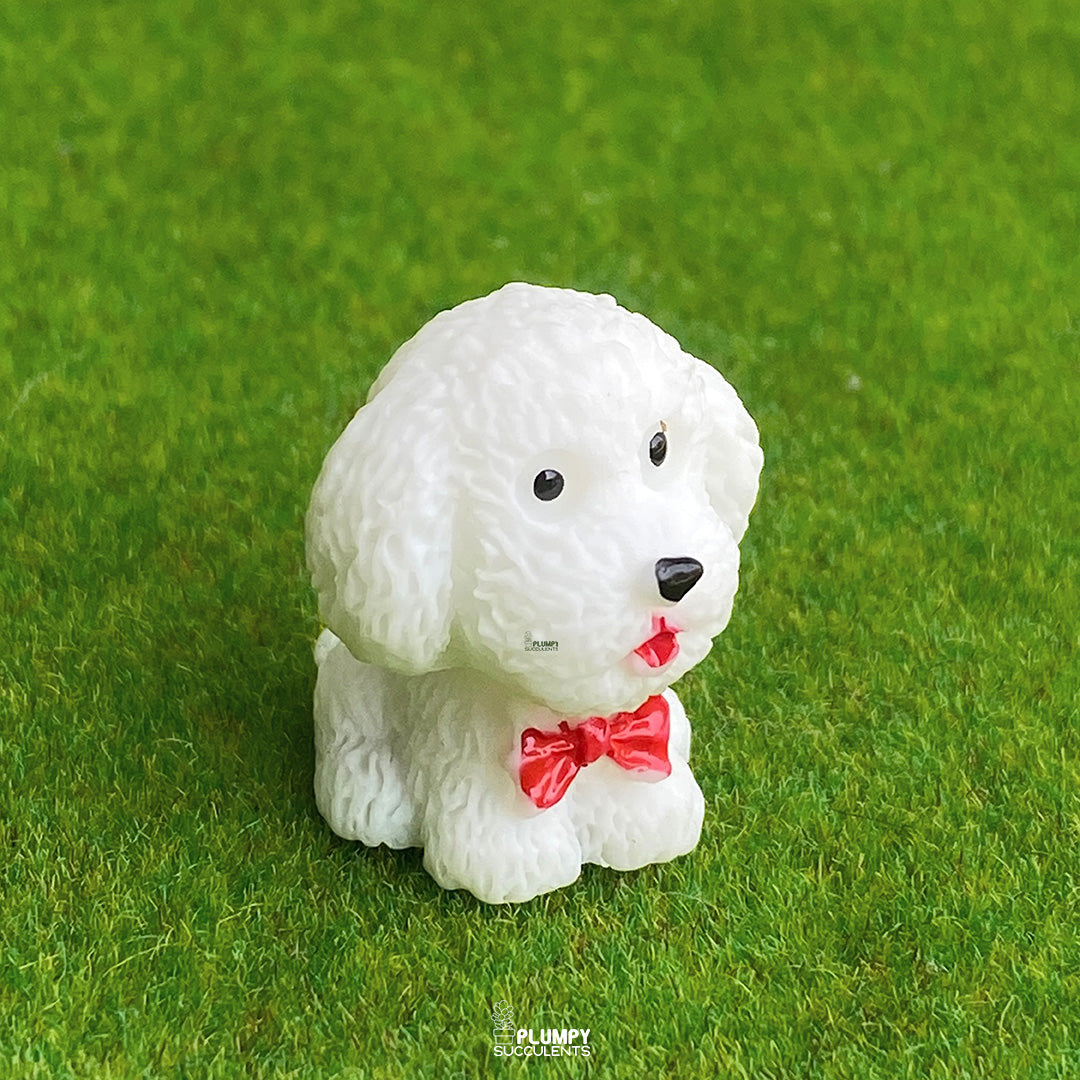Teddy Dog