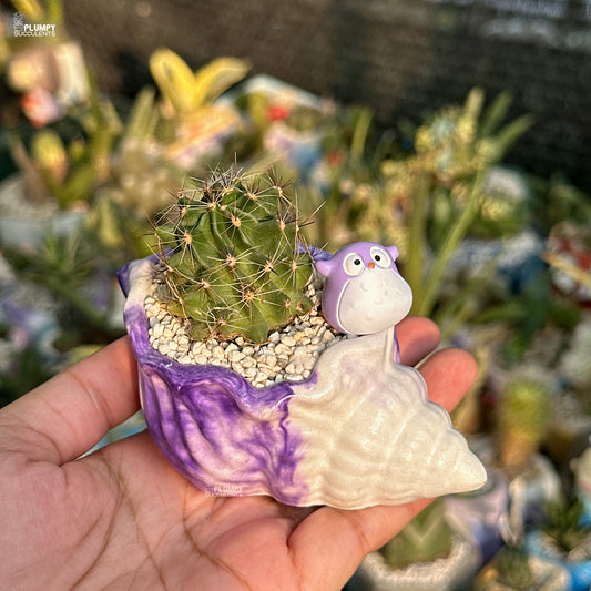 Small cactus in a decorative shell with a purple creature on a blurred plant background