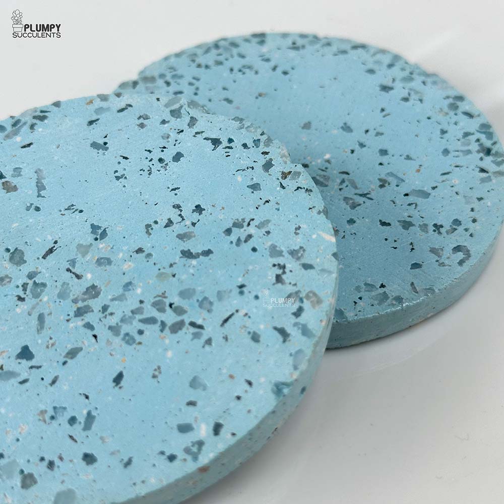 Coaster (Set of 2)