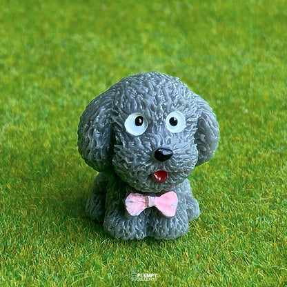 Teddy Dog