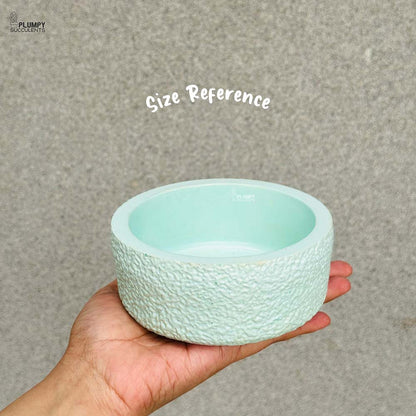 Rustic Planter (5 Inch)