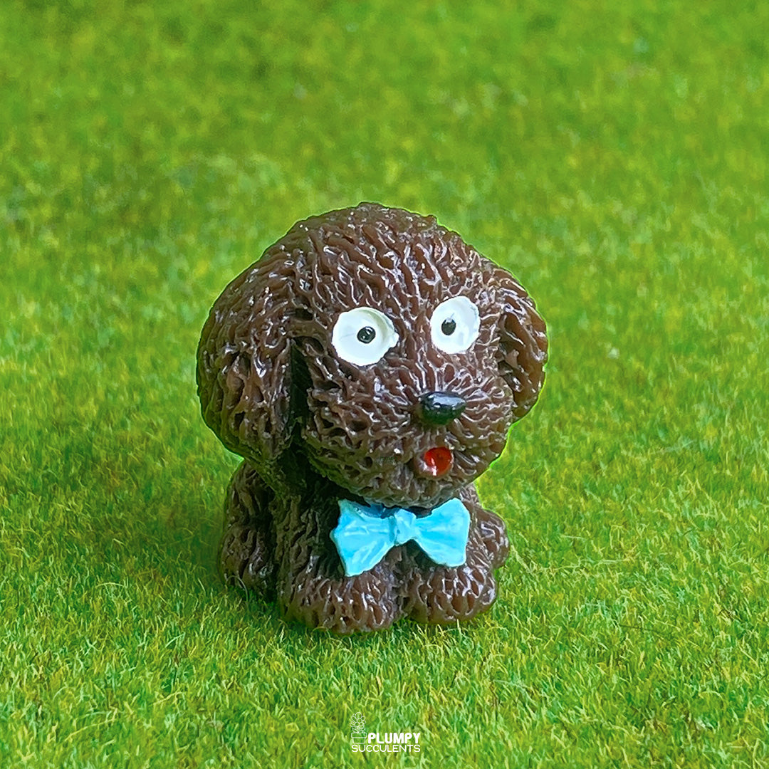 Teddy Dog