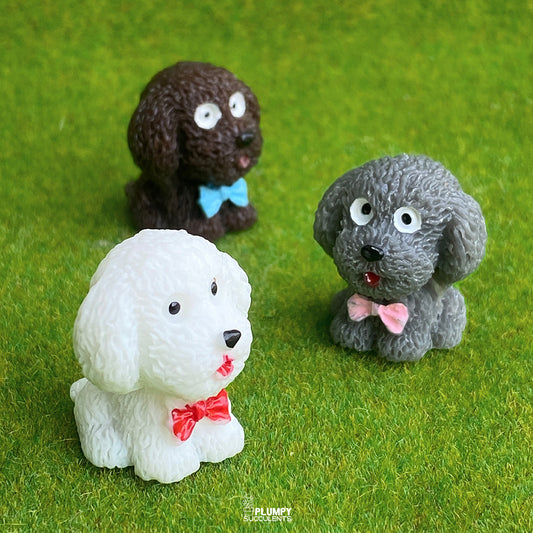 Teddy Dog