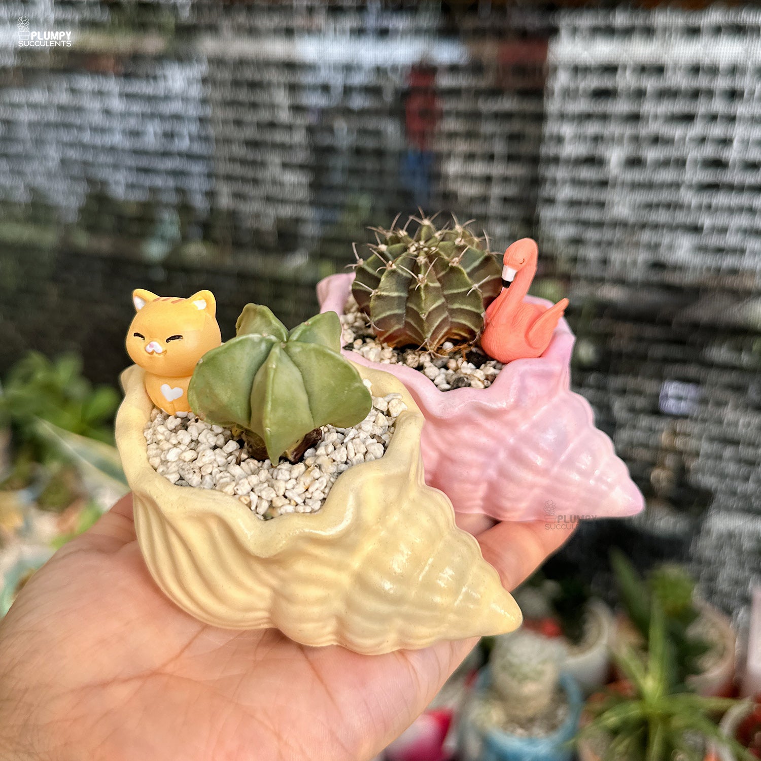 Small potted plants in shell-shaped pots held by a hand with a blurred background
