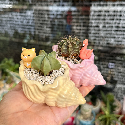 Small potted plants in shell-shaped pots held by a hand with a blurred background