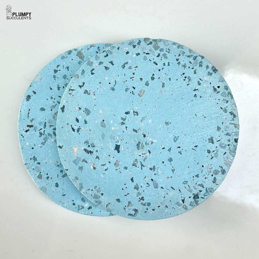 Coaster (Set of 2)