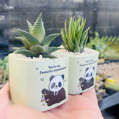 You’re My Favorite Inconvenience – Panda Planter Set (Set of 2)