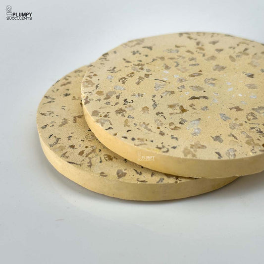Coaster (Set of 2)