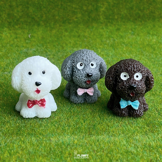 Teddy Dog