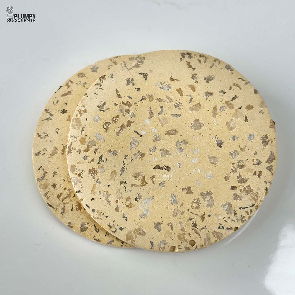 Coaster (Set of 2)