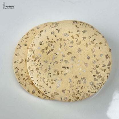 Coaster (Set of 2)