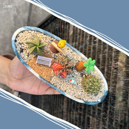 Miniature cactus garden in a oval container with fairy garden miniatures held by a hand