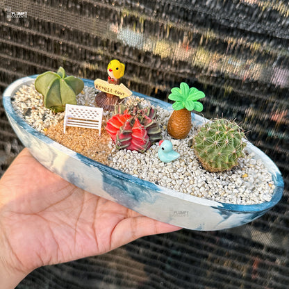 Miniature cacti and succulents in a decorative bowl held by a hand.
