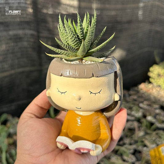 Haworthia Pumila in Girl Reading Book Planter