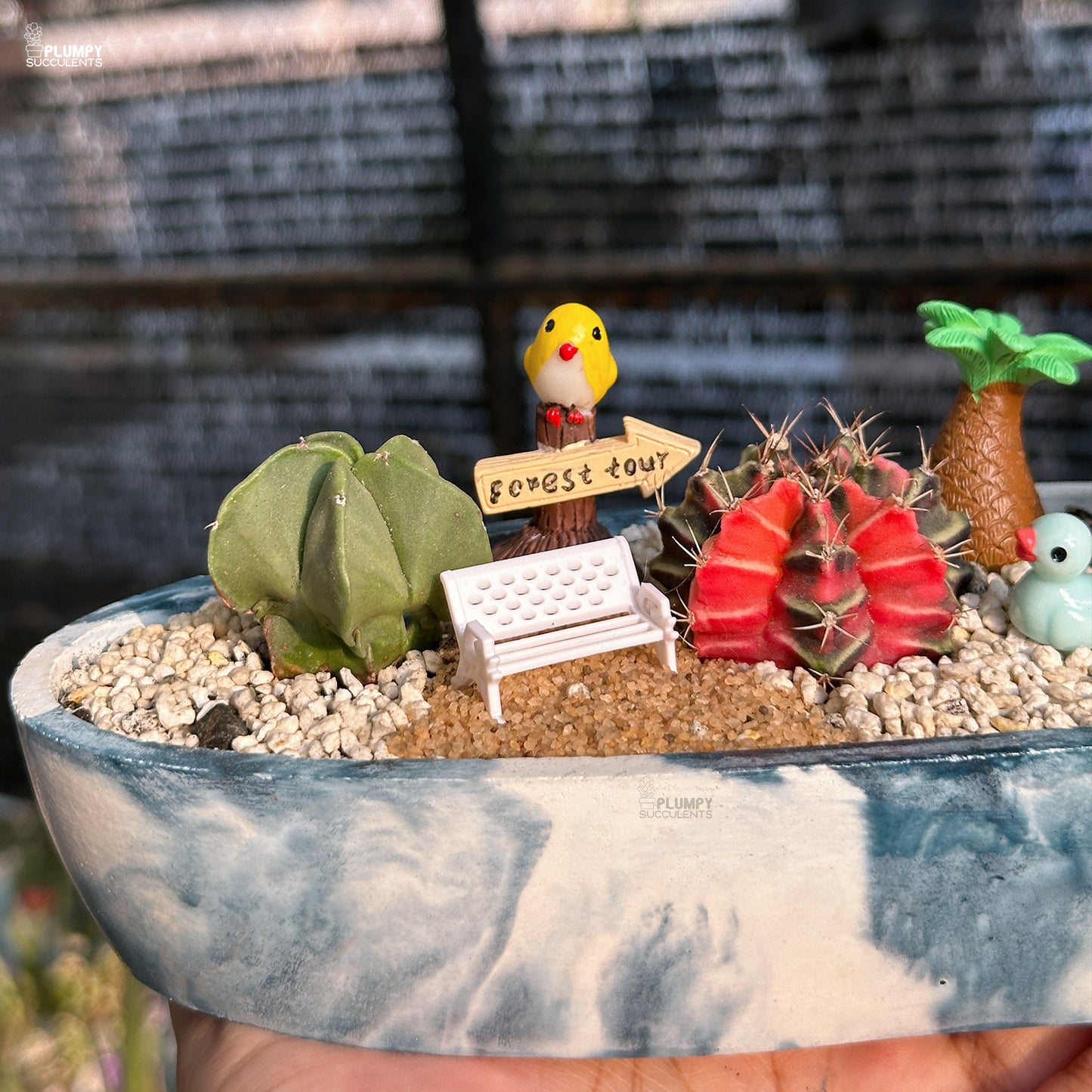Miniature garden with cacti, a bench, and decorative elements in a pot.