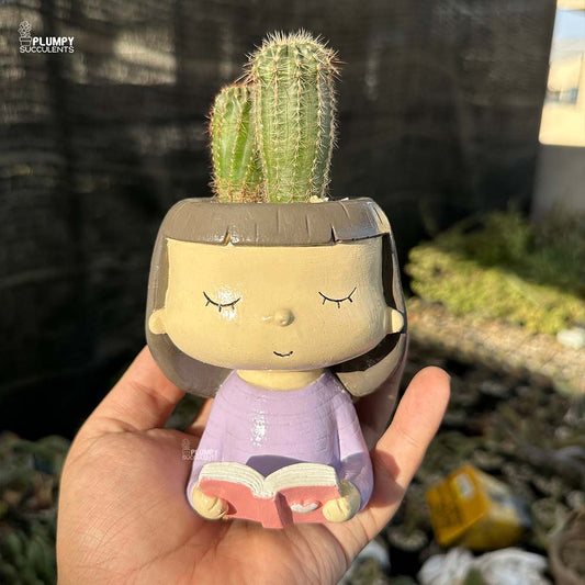 Echinopsis in Girl Reading Book Planter