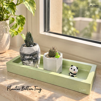Concrete Rectangular Tray