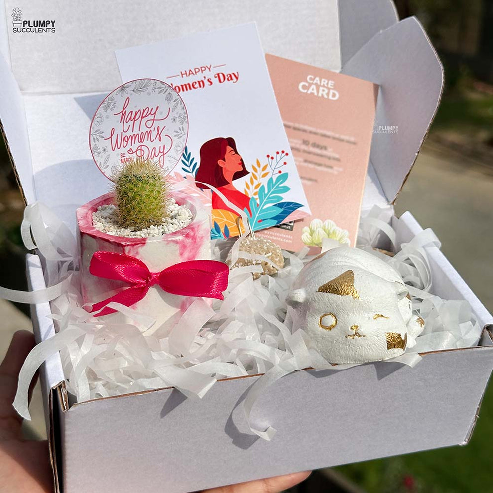 Women's Day Gift Set-Mini – Plumpy Succulents