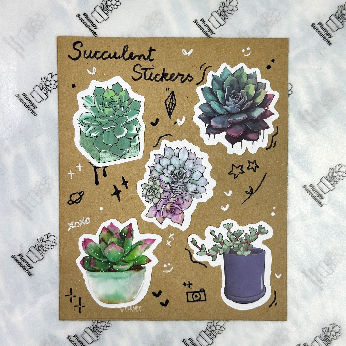 Succulent Sticker Pack 4