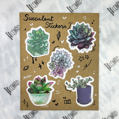 Succulent Sticker Pack 4