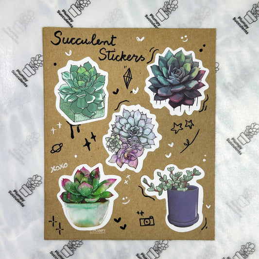 Succulent Sticker Pack 4