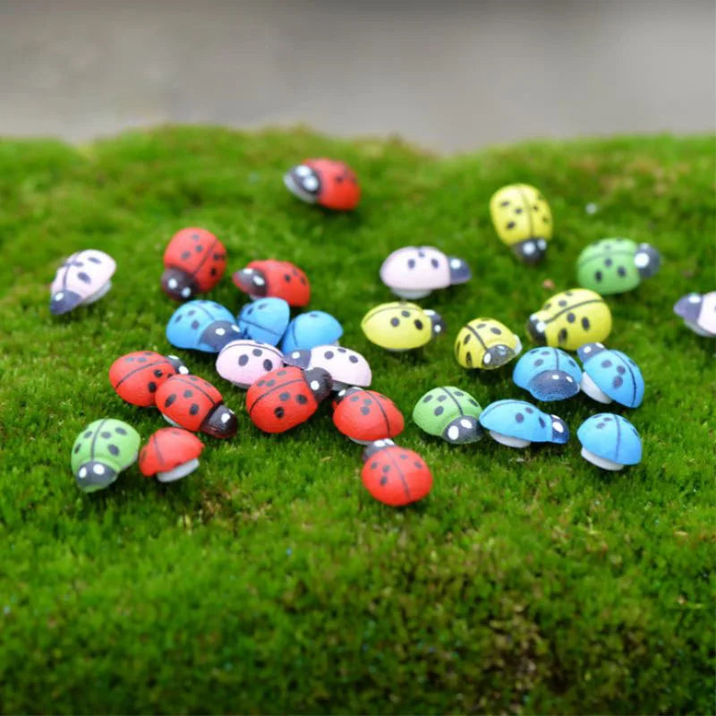 Ladybird (Mix Colors)
