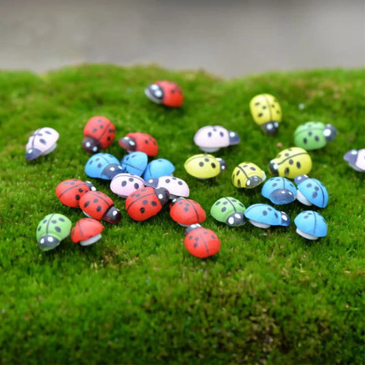 Ladybird (Mix Colors)