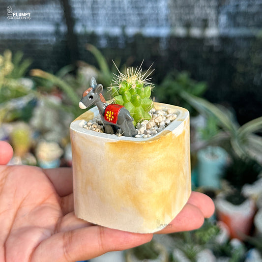 Small cactus in a decorative pot with a figurine of a donkey, held in a hand with a blurred plant background.