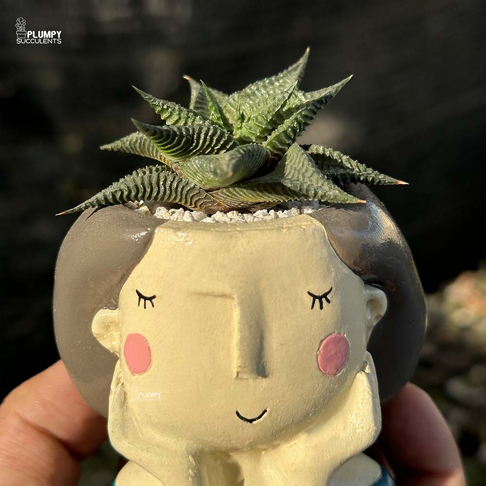 Haworthia Limifolia in Girl with Hands on Face Planter