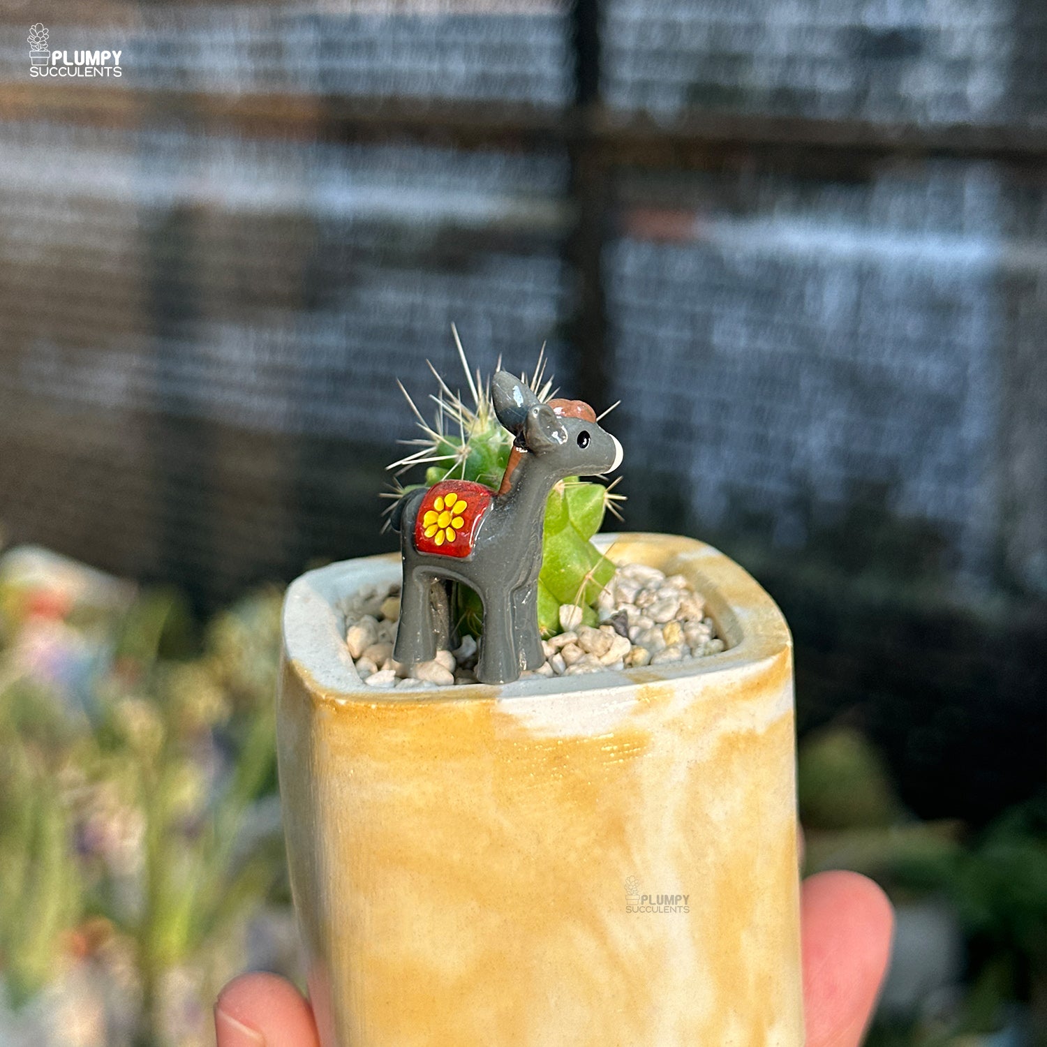 Small cactus with decorative elements in a pot held by a hand, with a blurred background.
