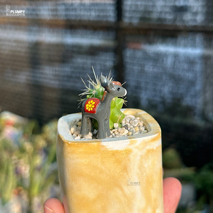 Small cactus with decorative elements in a pot held by a hand, with a blurred background.