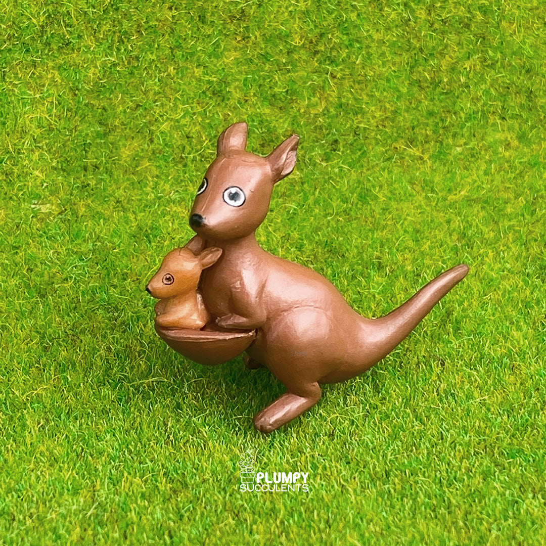 Kangaroo