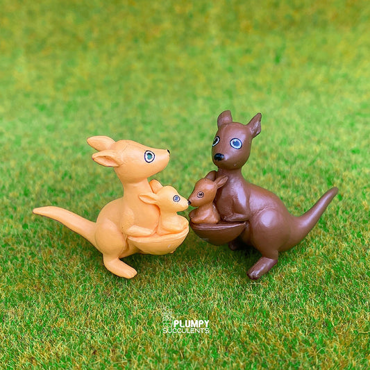 Kangaroo