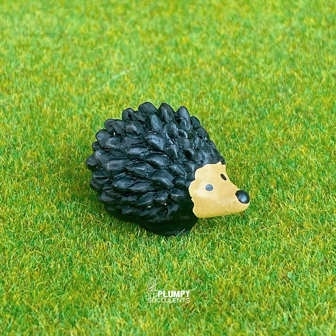 Hedgehog
