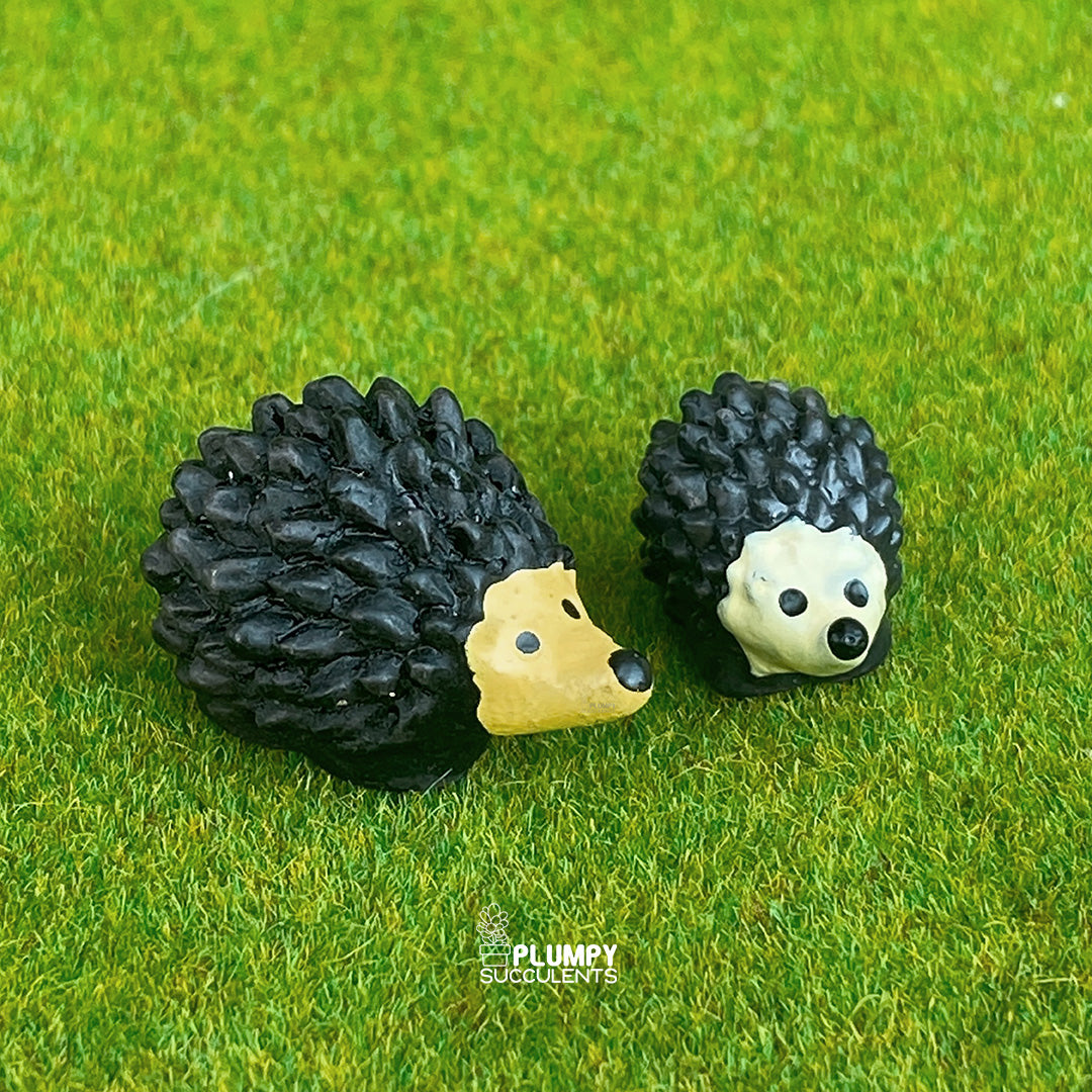 Hedgehog