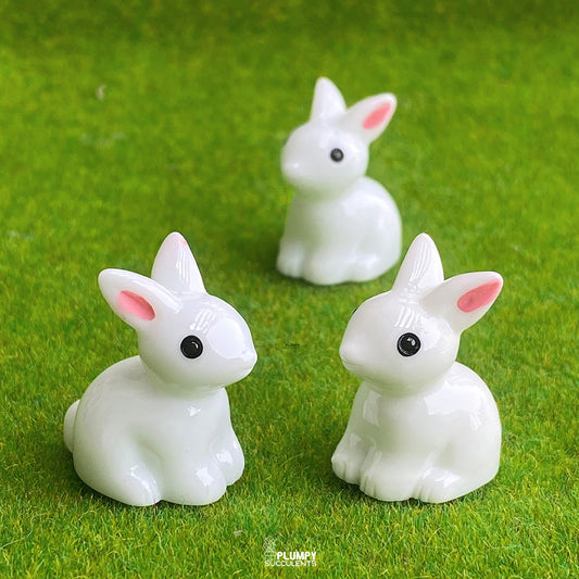 White Rabbit