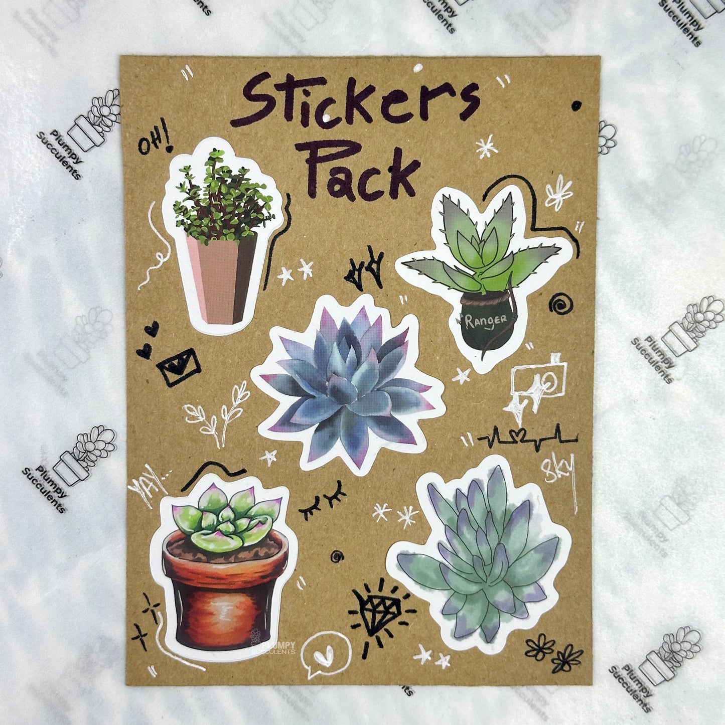 Succulent Sticker Pack 5