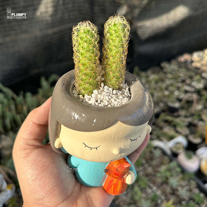 Mammillaria Elongata in Girl with Pet Fox Planter