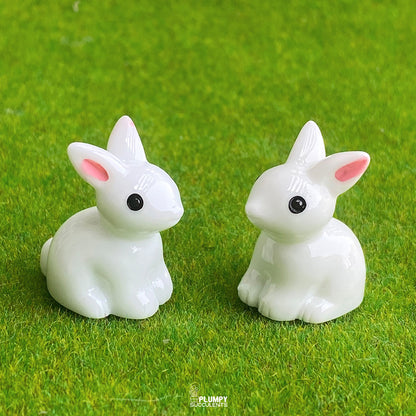 White Rabbit