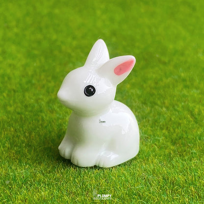 White Rabbit